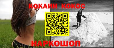 крисы Будённовск
